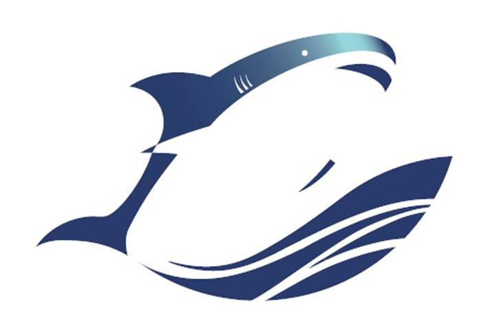 鲨鱼logo的名字图片