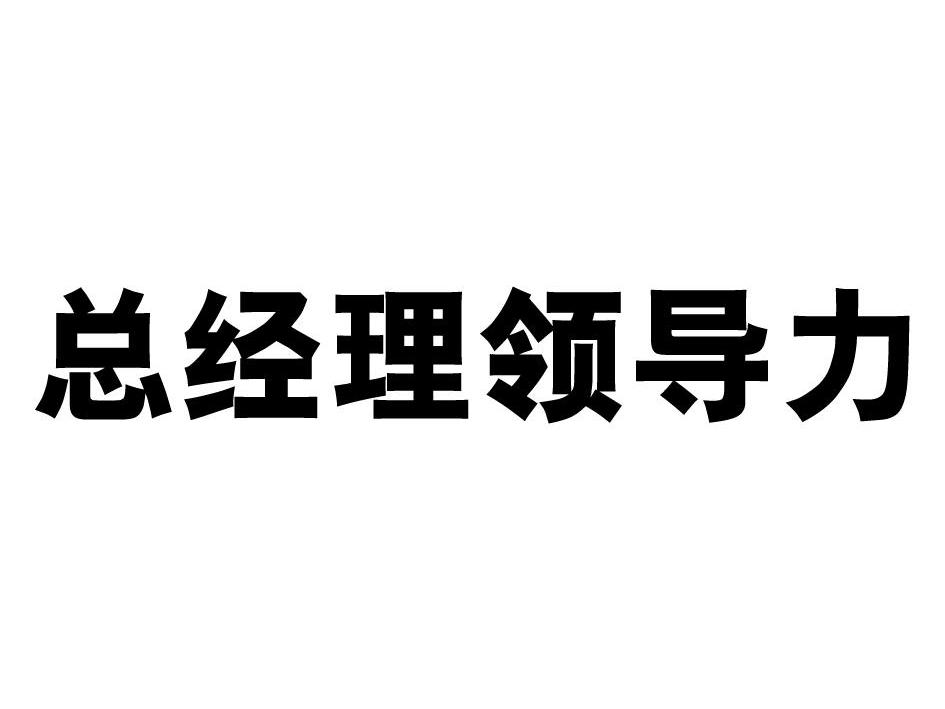 商标文字总经理领导力商标注册号 12064415,商标申请人青岛融道投资