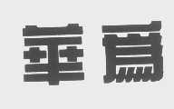 华为商标标样
