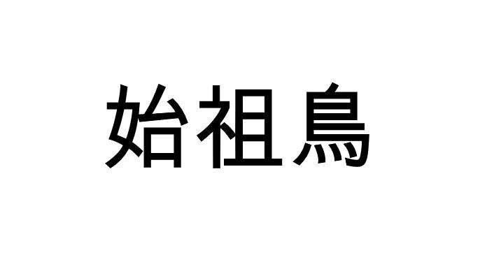 始祖鸟商标标样