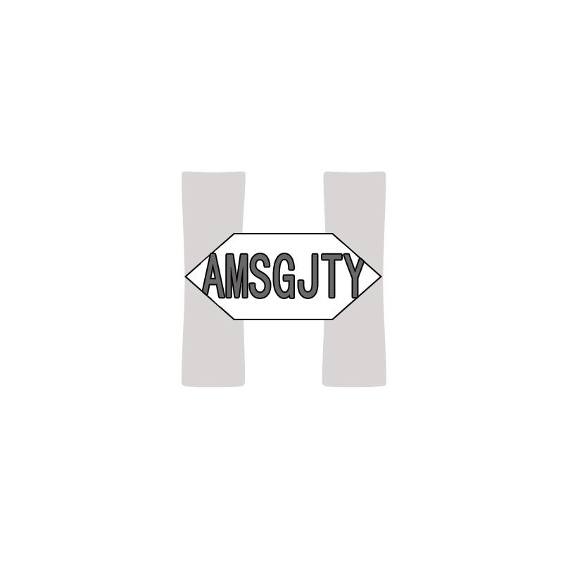 转让商标-AMSGJTY