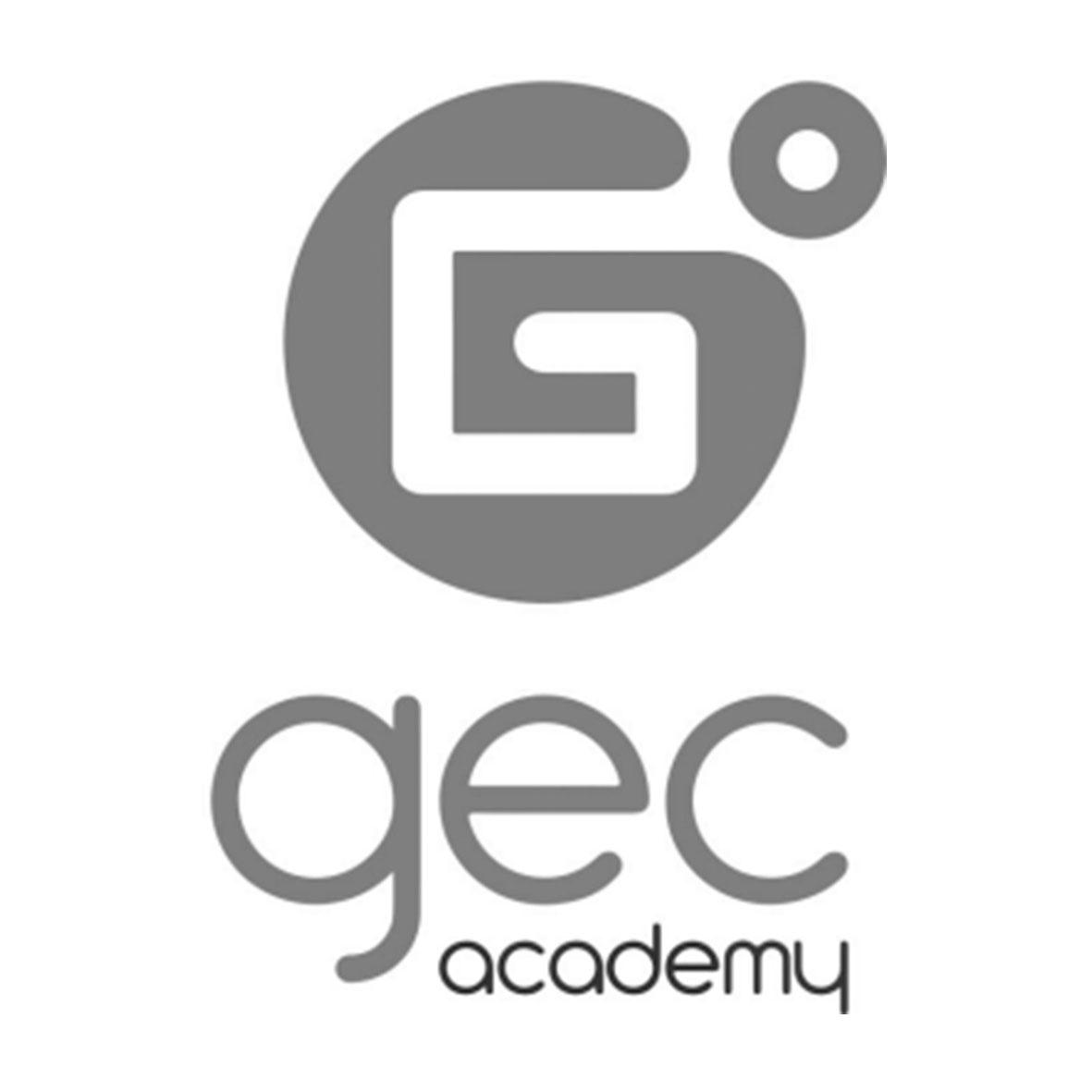 商標文字gec academy g商標註冊號 34326644,商標申請人北京集思互聯