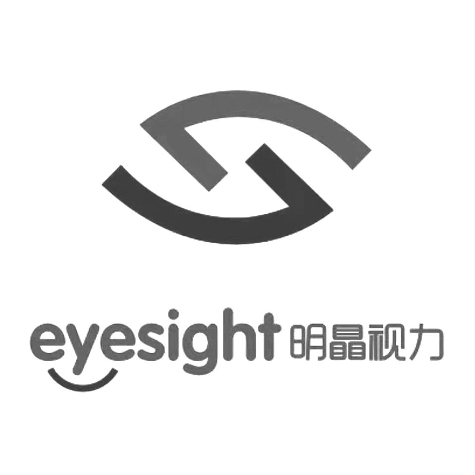 商标文字eyesight 明瞐视力商标注册号 60629963,商标