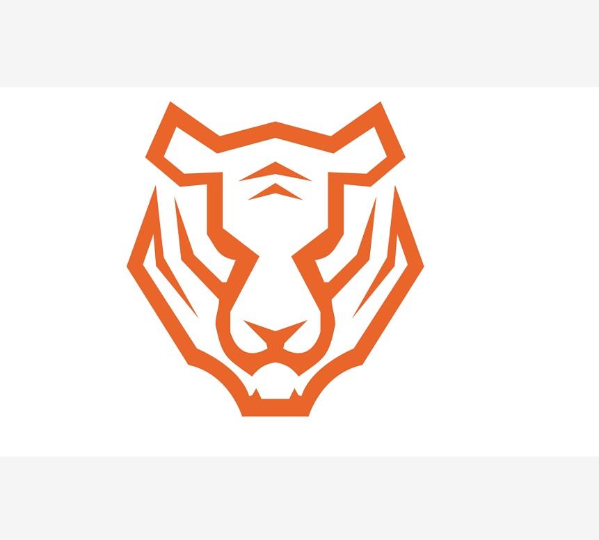 商标文字图形商标注册号 47076277,商标申请人飞虎互动科技(北京)有限