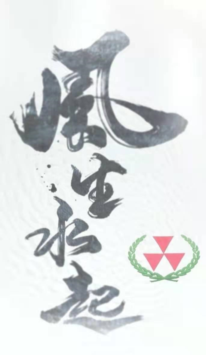 商标文字风生水起商标注册号 56968879,商标申请人南宁市环鼎商贸有限