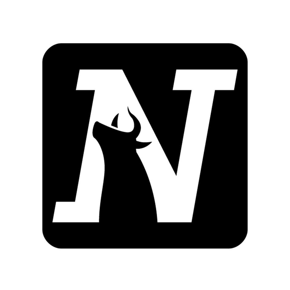 商标文字n商标注册号 48181336,商标申请人北京鼎泰仕典科技有限公司