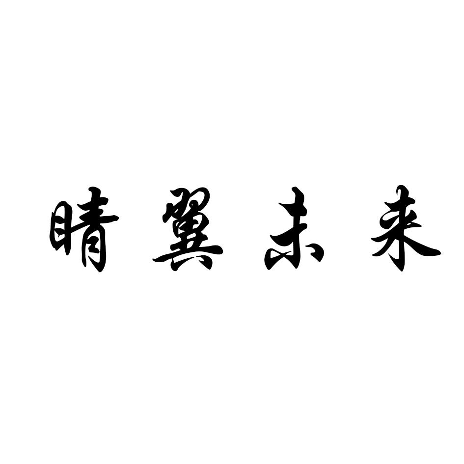 转让商标-睛翼未来