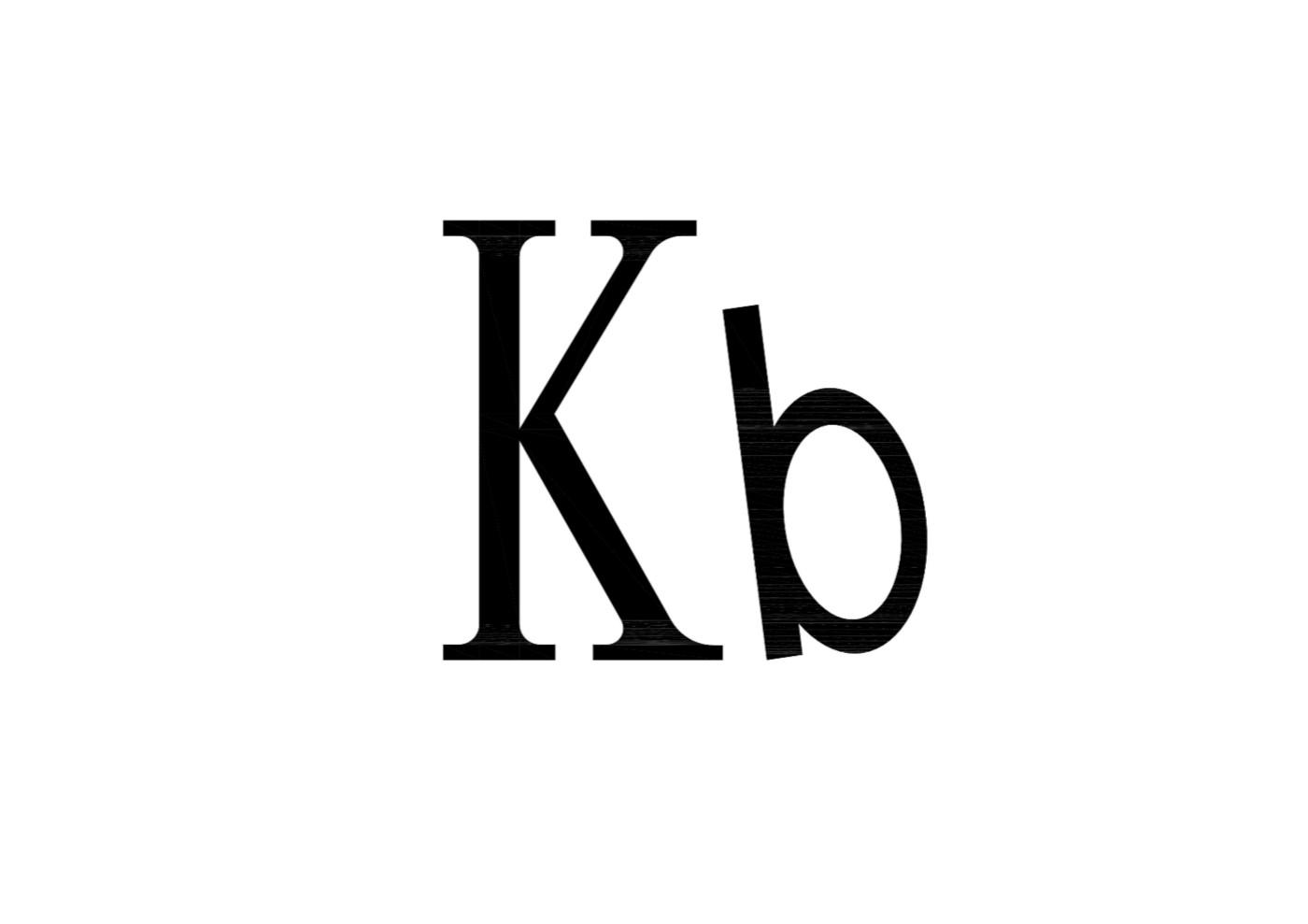 商标文字kb商标注册号 49224024,商标申请人广州嘉佰特动力配件有限