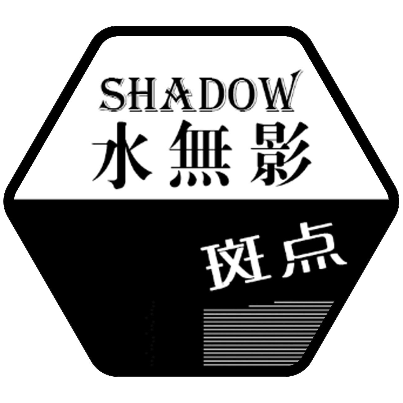 商标文字水无影 斑点 shadow商标注册号 39657256,商标申请人齐建飞的