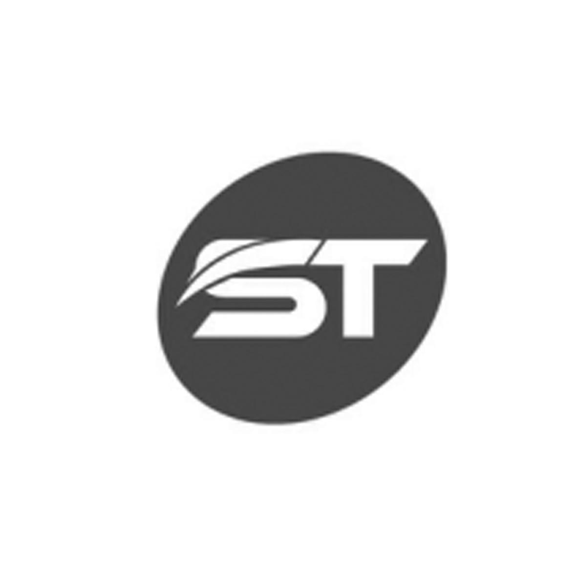 商标文字st商标注册号 24253203,商标申请人福建大森林文化传播有限