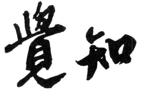 商标文字觉知商标注册号 19168347,商标申请人上海江村