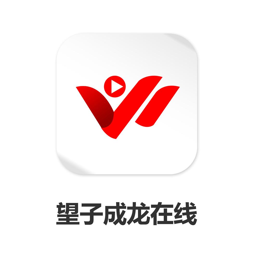 商标文字望子成龙在线商标注册号 35650593,商标申请人四川望子成龙