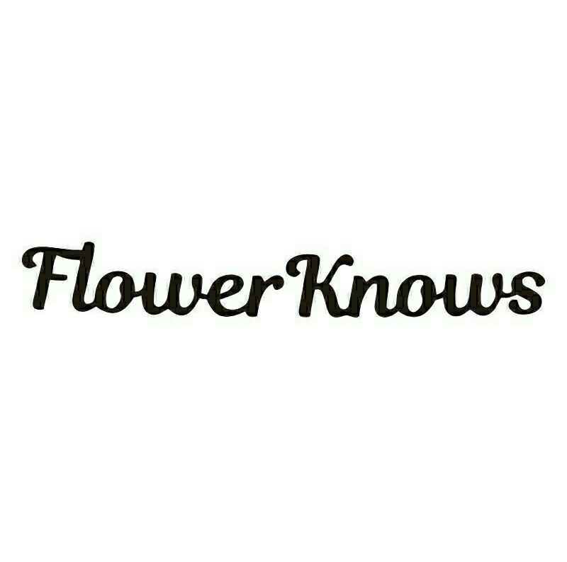 flower的花样字体图片