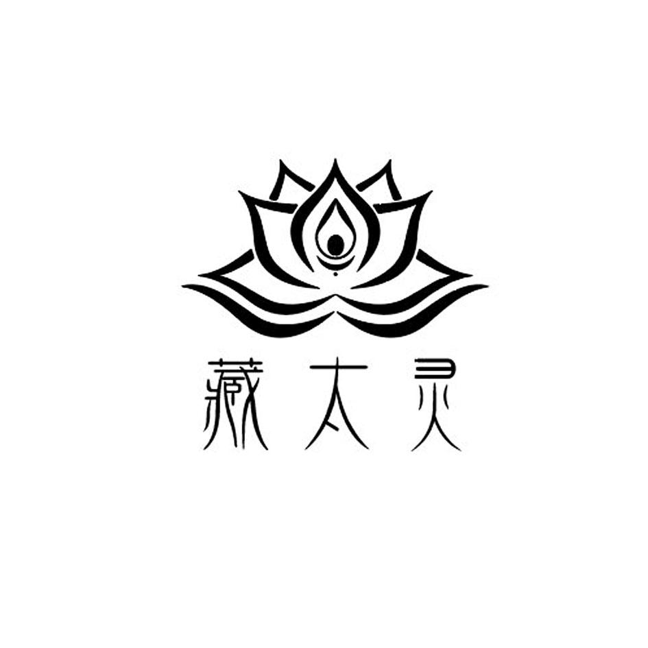 商标文字藏太灵商标注册号 49097715,商标申请人陈勇的商标详情 标