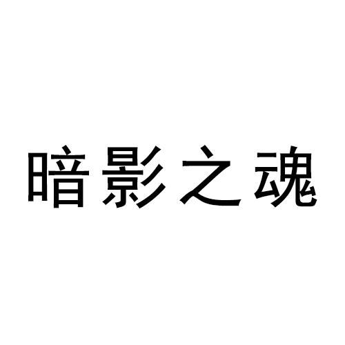 商标文字暗影之魂商标注册号 48912546,商标申请人厦门大画网络科技