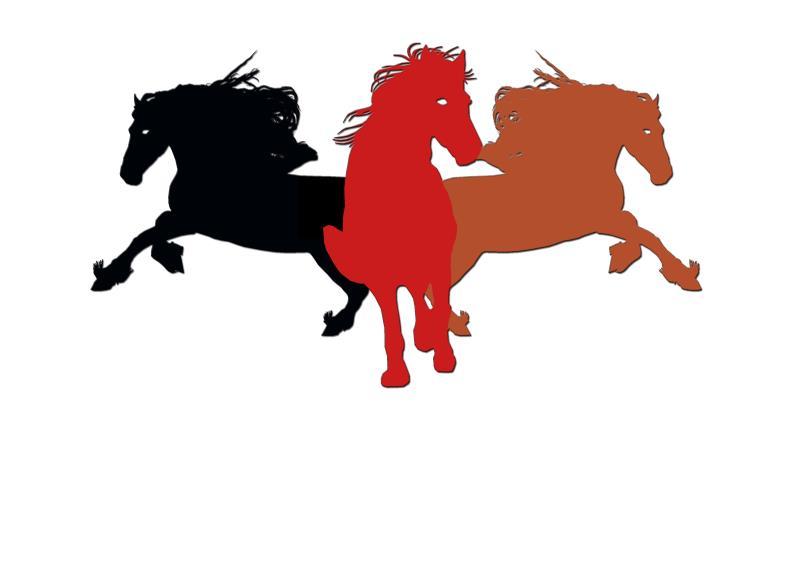 商标文字图形商标注册号 31221078,商标申请人常州三匹马机械设备有限