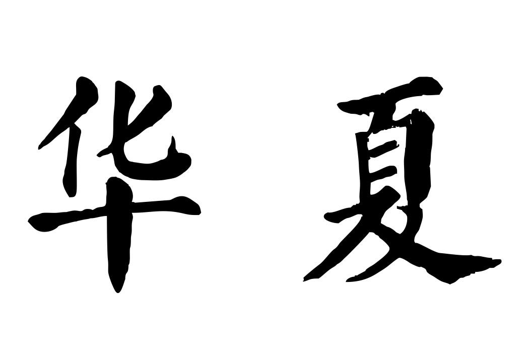 商标文字华夏商标注册号 45889456,商标申请人珠海正奇科技有限公司的