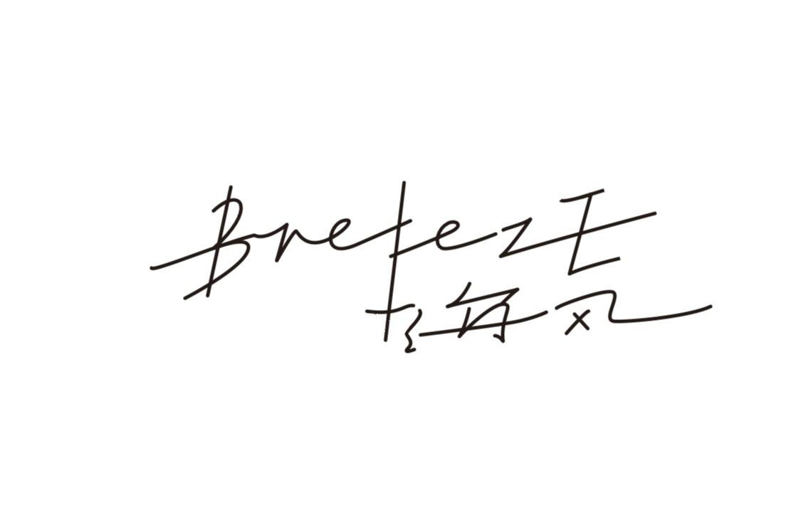 商標文字海風 breeze商標註冊號 47662351,商標申請人秦皇島阿那亞