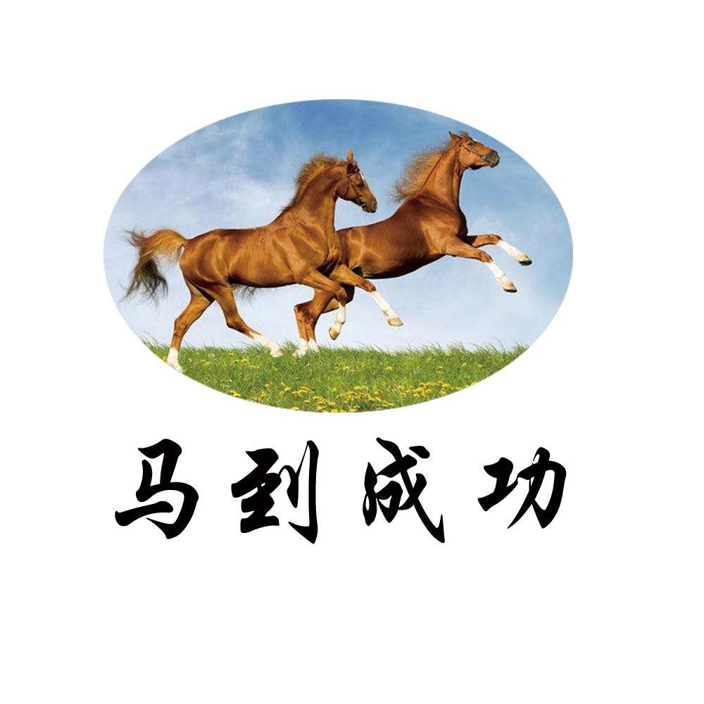 商标文字马到成功商标注册号 12311595,商标申请人滕州市兴邦蔬菜产销