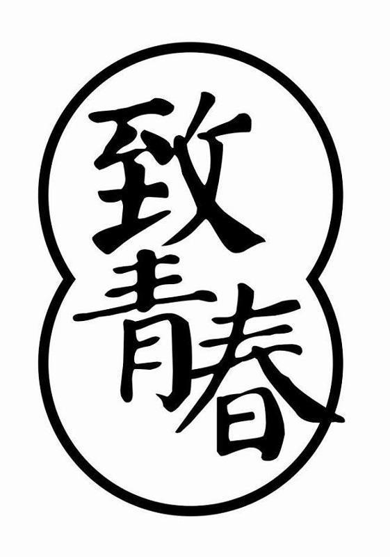商标文字致青春商标注册号 12905199,商标申请人上海望潮投资管理有限