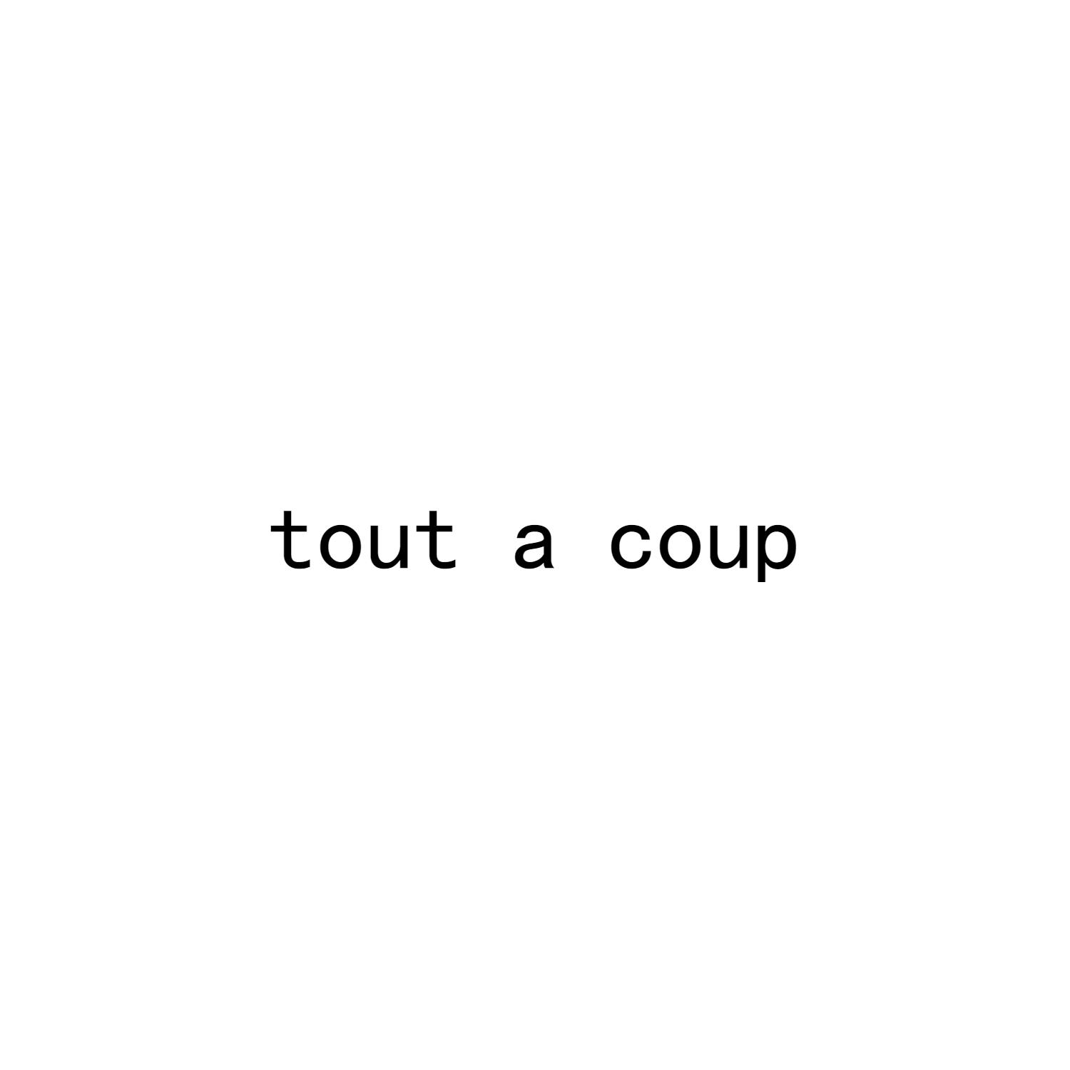 转让商标-TOUT A COUP