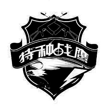 商标文字特种战鹰商标注册号 27199625,商标申请人李中华的商标详情