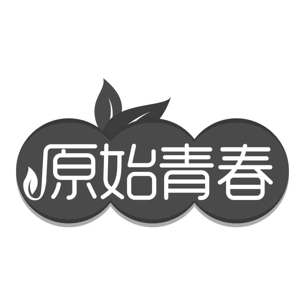 转让商标-原始青春