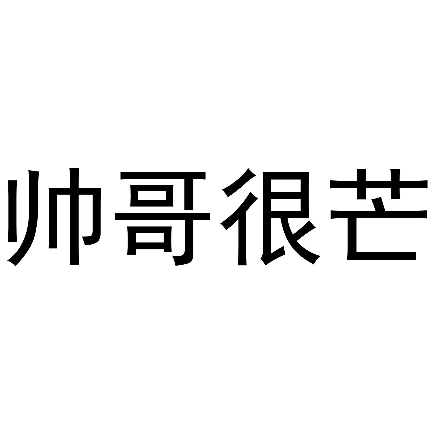 商标文字帅哥很芒商标注册号 54735512,商标申请人祁超的商标详情