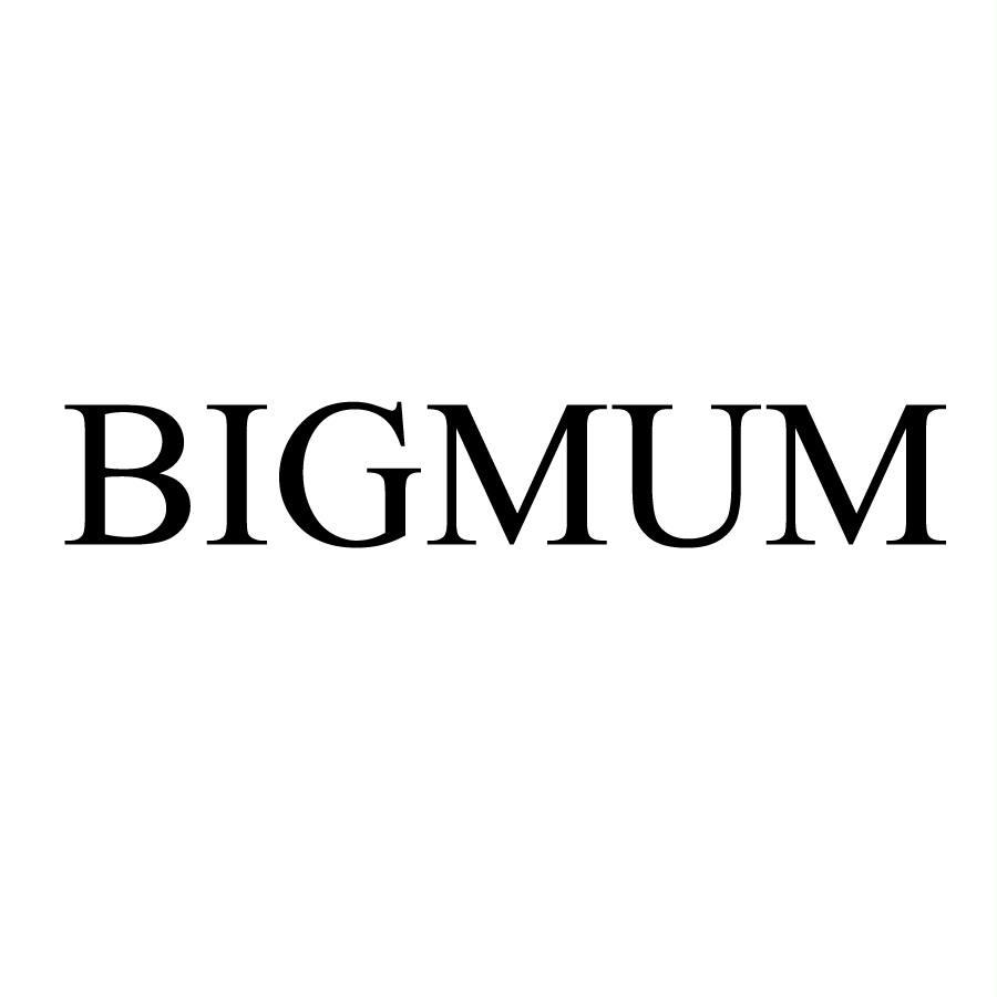 转让商标-BIGMUM