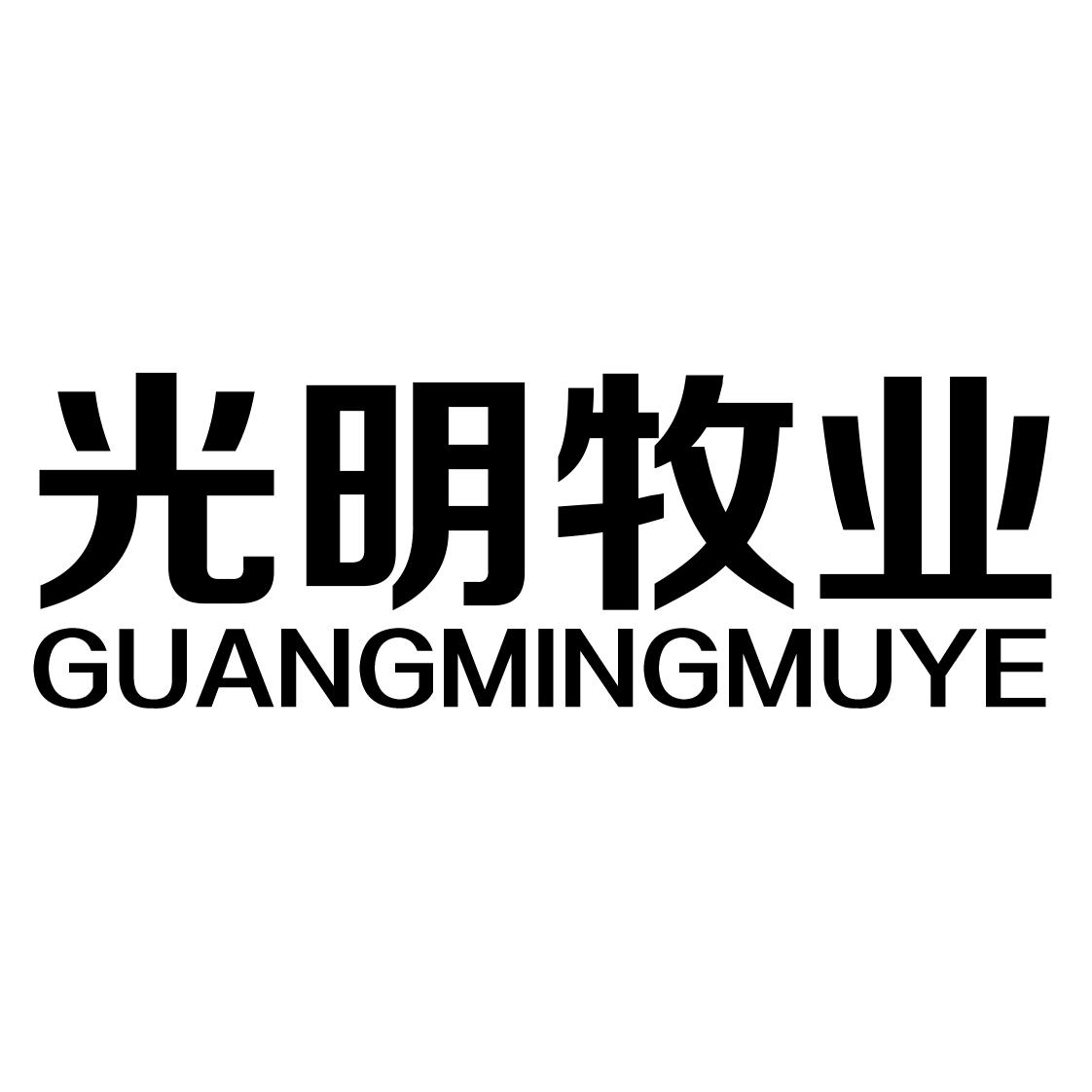 商标文字光明牧业商标注册号 58007308,商标申请人新疆光明田野农牧