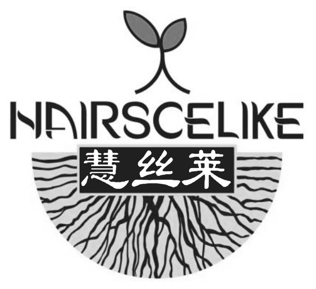 商标文字慧丝莱 hairscelike商标注册号 49166539,商