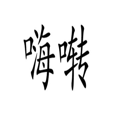 商标文字嗨啭商标注册号 45759343,商标申请人北京天跃腾飞科技有限