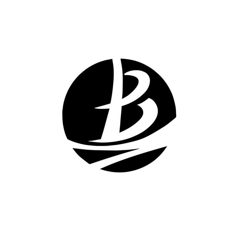 商标文字b商标注册号 48702528,商标申请人上海博霖实业发展有限公司