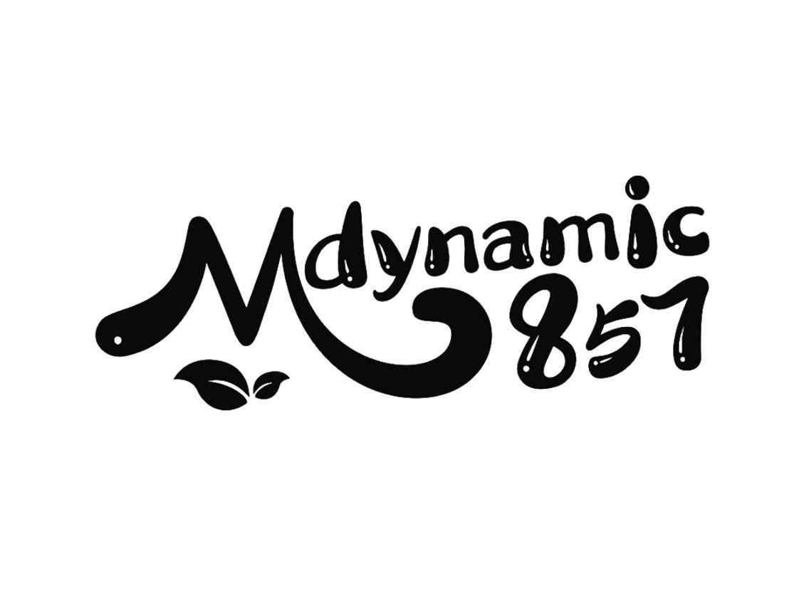 商标文字mdynamic 857商标注册号 57104403,商标申请人尹令雪的商标