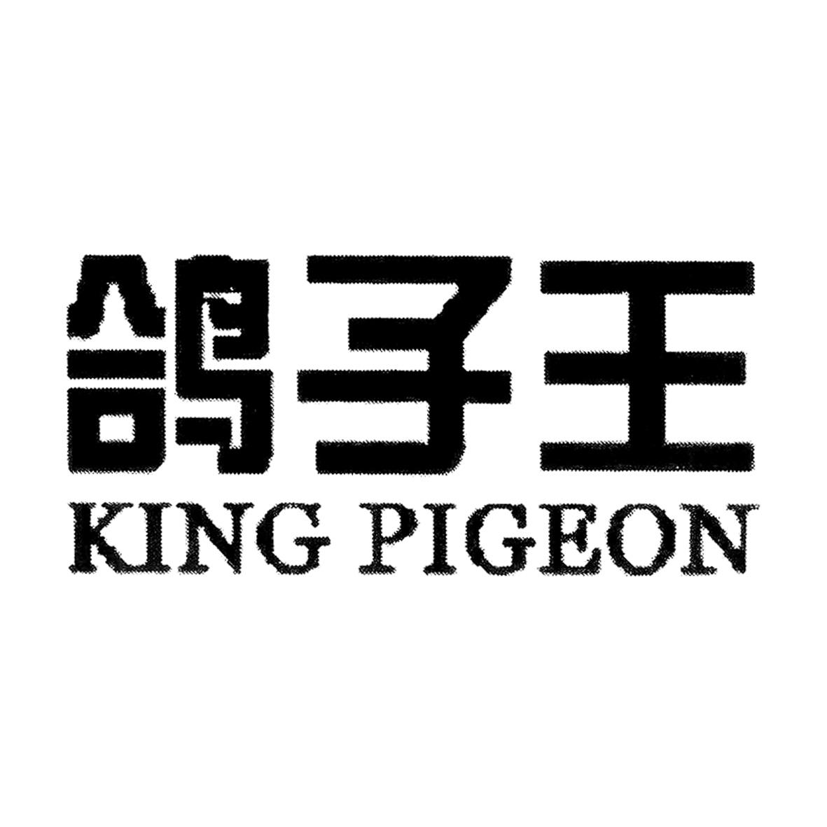 商标文字鸽子王 king pigeon商标注册号 46605618,商标申请人秦皇岛