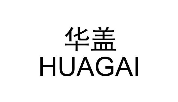 商标文字华盖商标注册号 45804392,商标申请人青岛宝胜汇金投资咨询