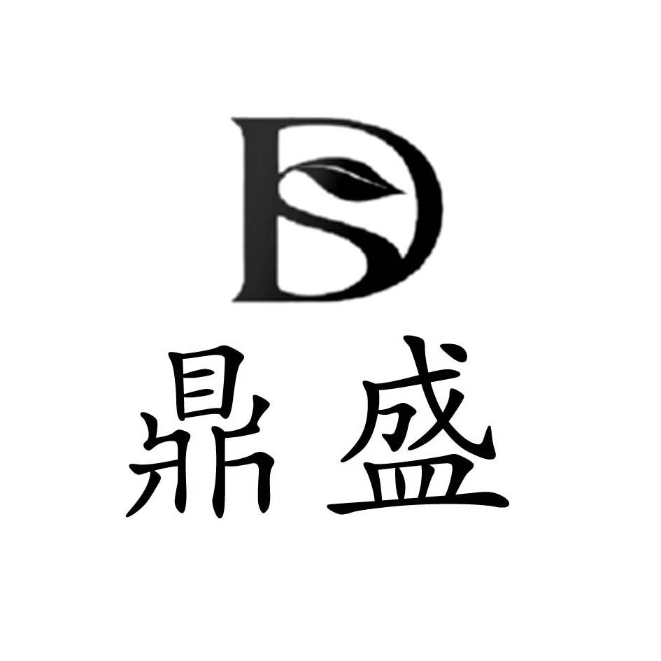 商標文字鼎盛商標註冊號 22572049,商標申請人河南省鼎盛環保科技有限