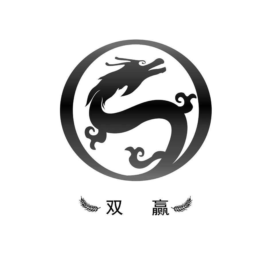 商标文字双赢商标注册号 11695408,商标申请人新疆双赢房地产开发有限