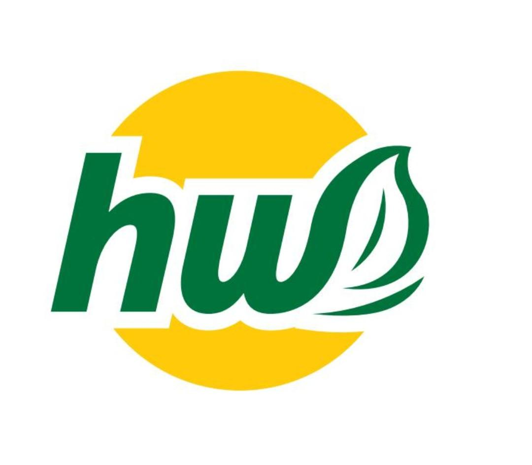 wh字母logo设计图片