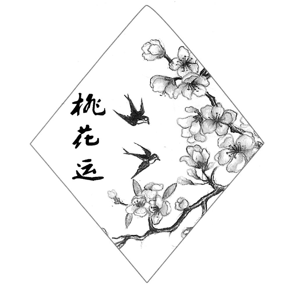 商标文字桃花运商标注册号 37861641,商标申请人汪仁平的商标详情