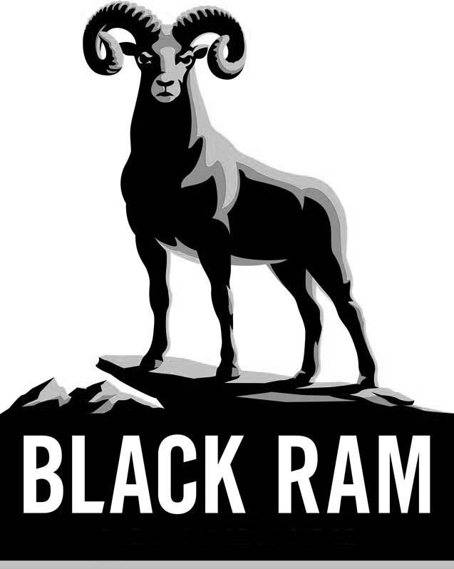 商标文字black ram商标注册号 28000981,商标申请人费南思咨询有限