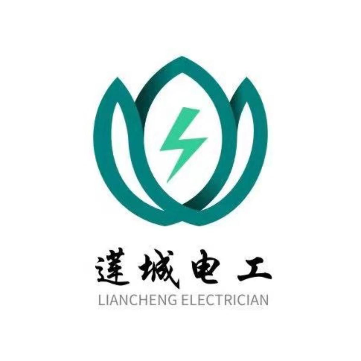 商标文字莲城电工 liancheng electrician商标注册号 54212031,商标