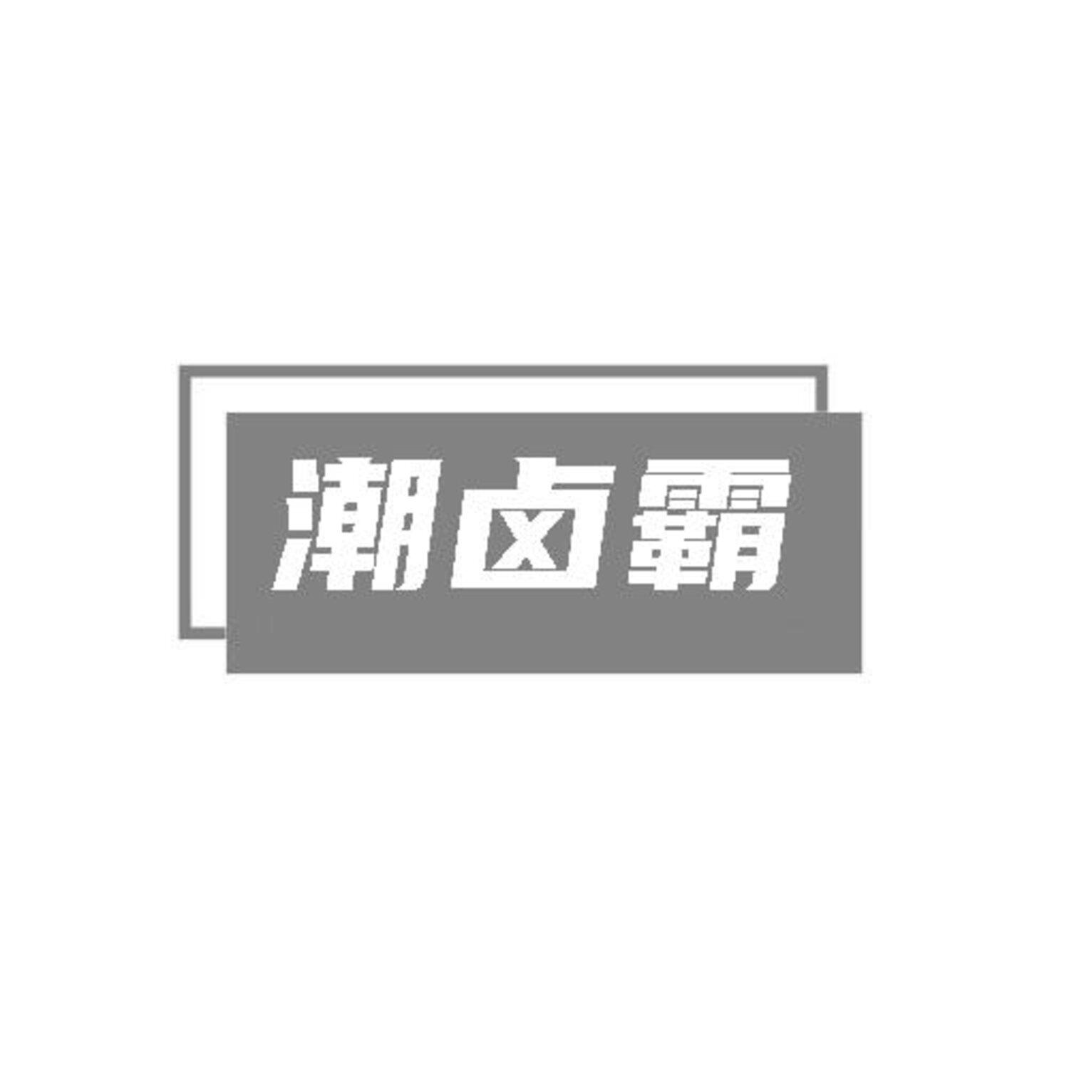 转让商标-潮卤霸