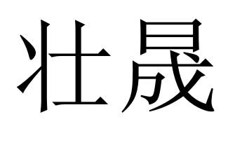 转让商标-壮晟