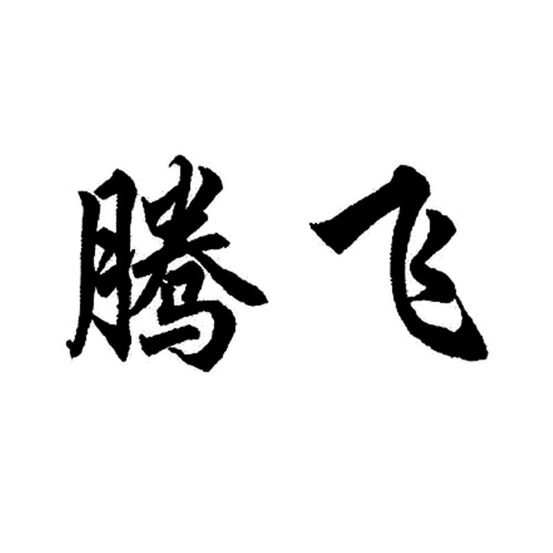 商标文字腾飞商标注册号 54316009a,商标申请人张雪娥的商标详情 - 标