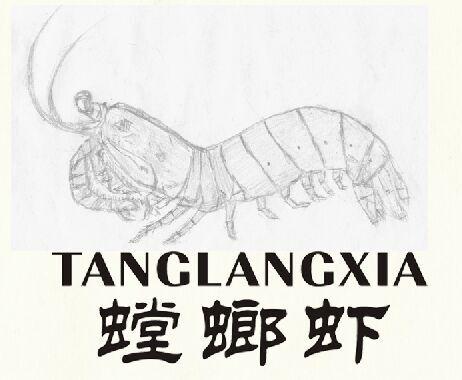 商标文字螳螂虾商标注册号 18811901,商标申请人尹青枫的商标详情