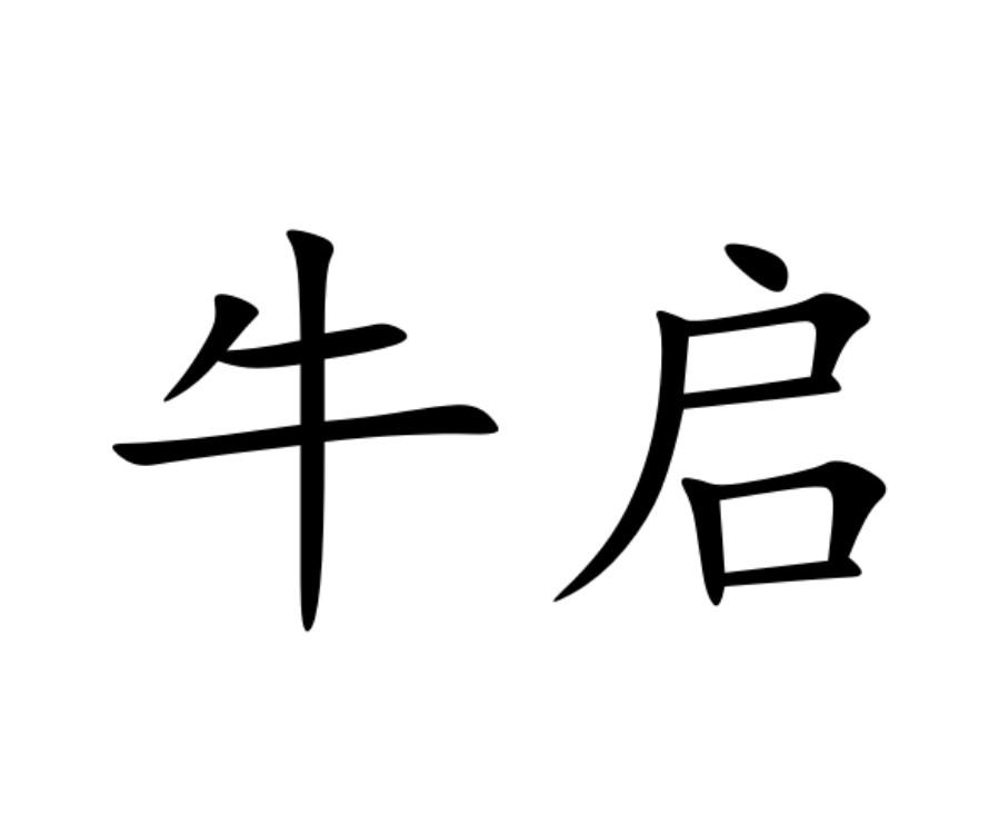 商标文字牛启商标注册号 48247168,商标申请人河北牛启电子商务有限