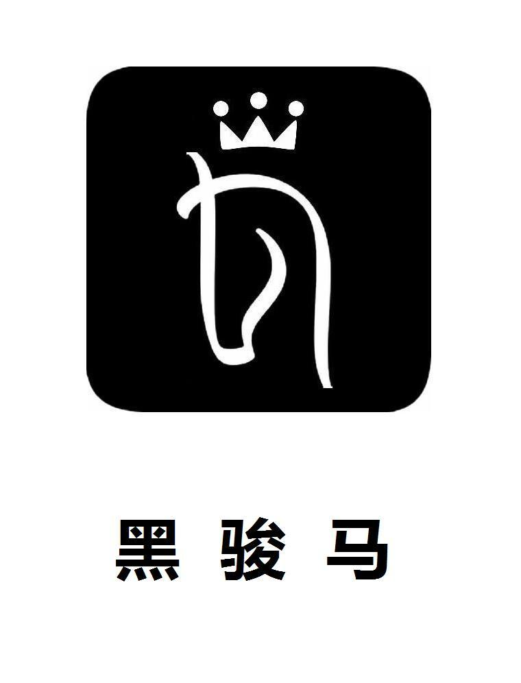 商标文字黑骏马商标注册号 53476758,商标申请人北京城堡科技有限公司