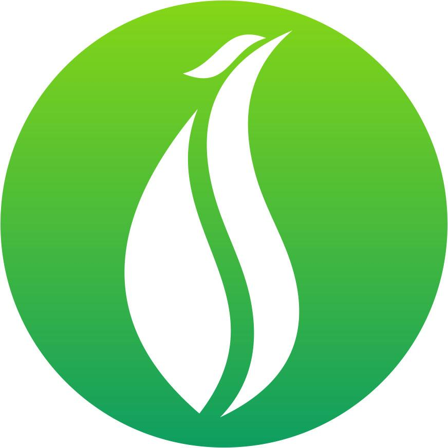 商标文字图形商标注册号 52795435,商标申请人河南斯坦德环保工程有限