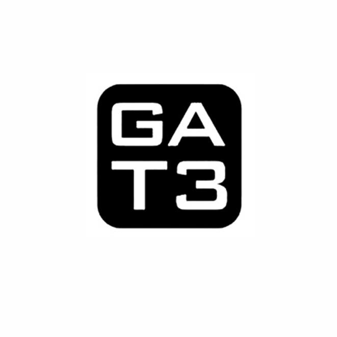 商标文字gat3商标注册号 54781060,商标申请人范尕尕